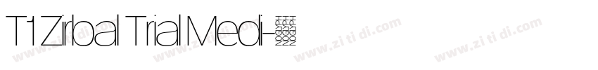 T1 Zirbal Trial Medi字体转换